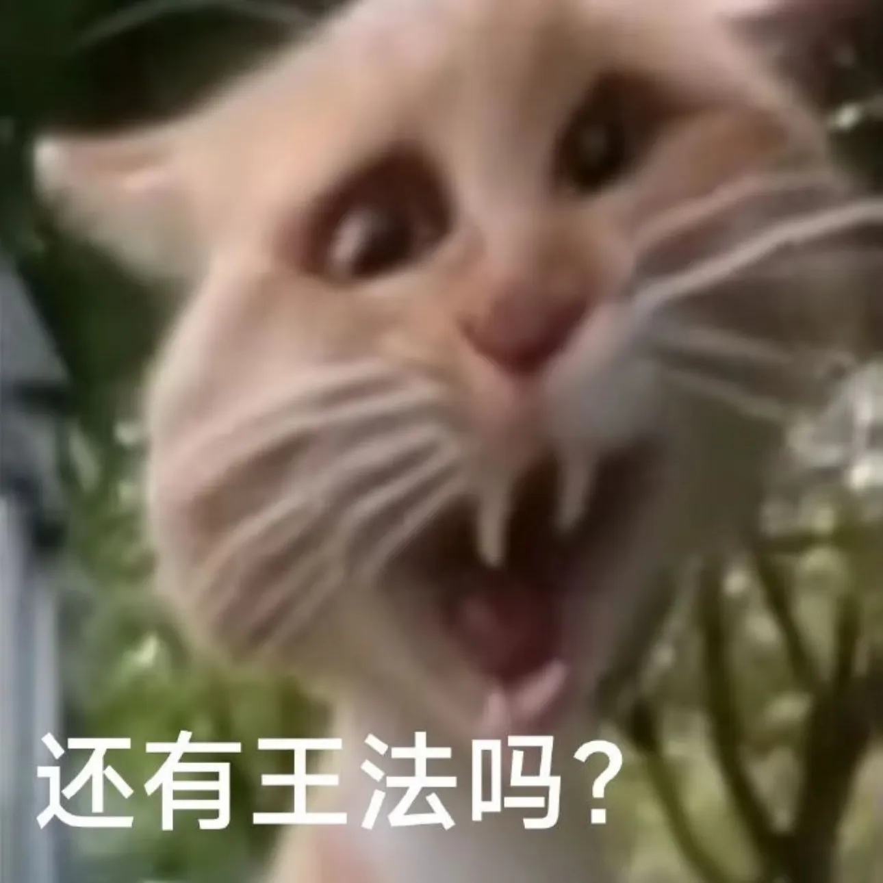 德学院-最专业的华人德州扑克学习与策略分享社区