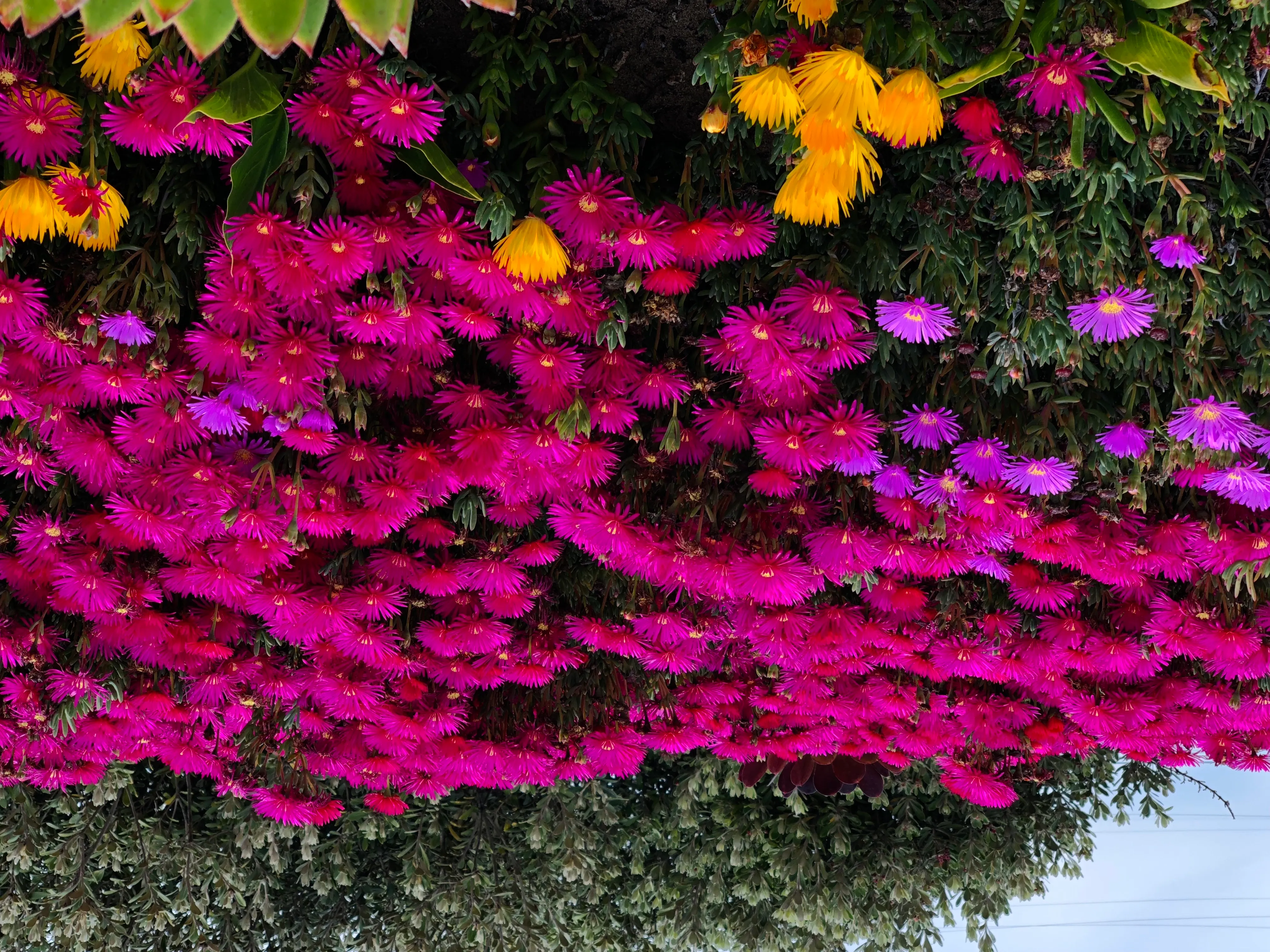 德学院-最专业的华人德州扑克学习与策略分享社区