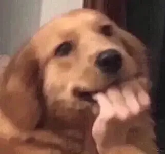 德学院-最专业的华人德州扑克学习与策略分享社区