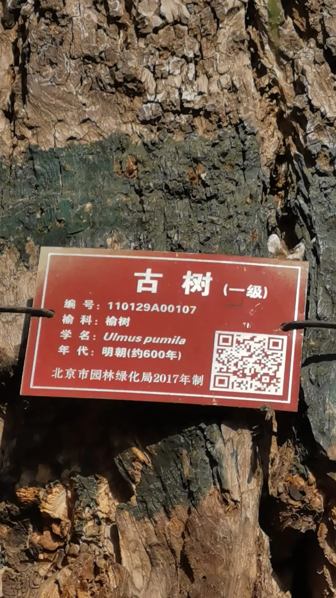 德学院-最专业的华人德州扑克学习与策略分享社区