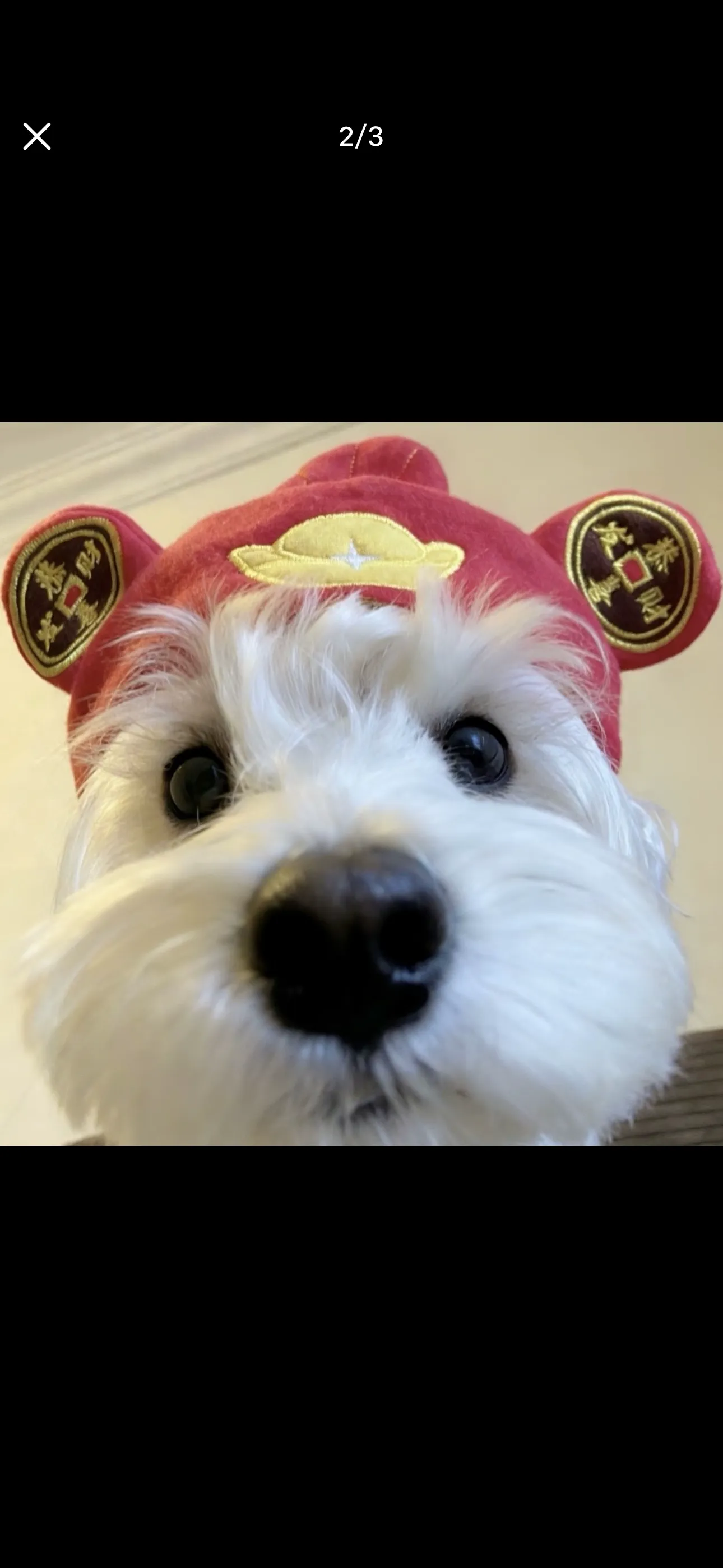 德学院-最专业的华人德州扑克学习与策略分享社区